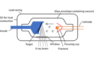 principle of generating